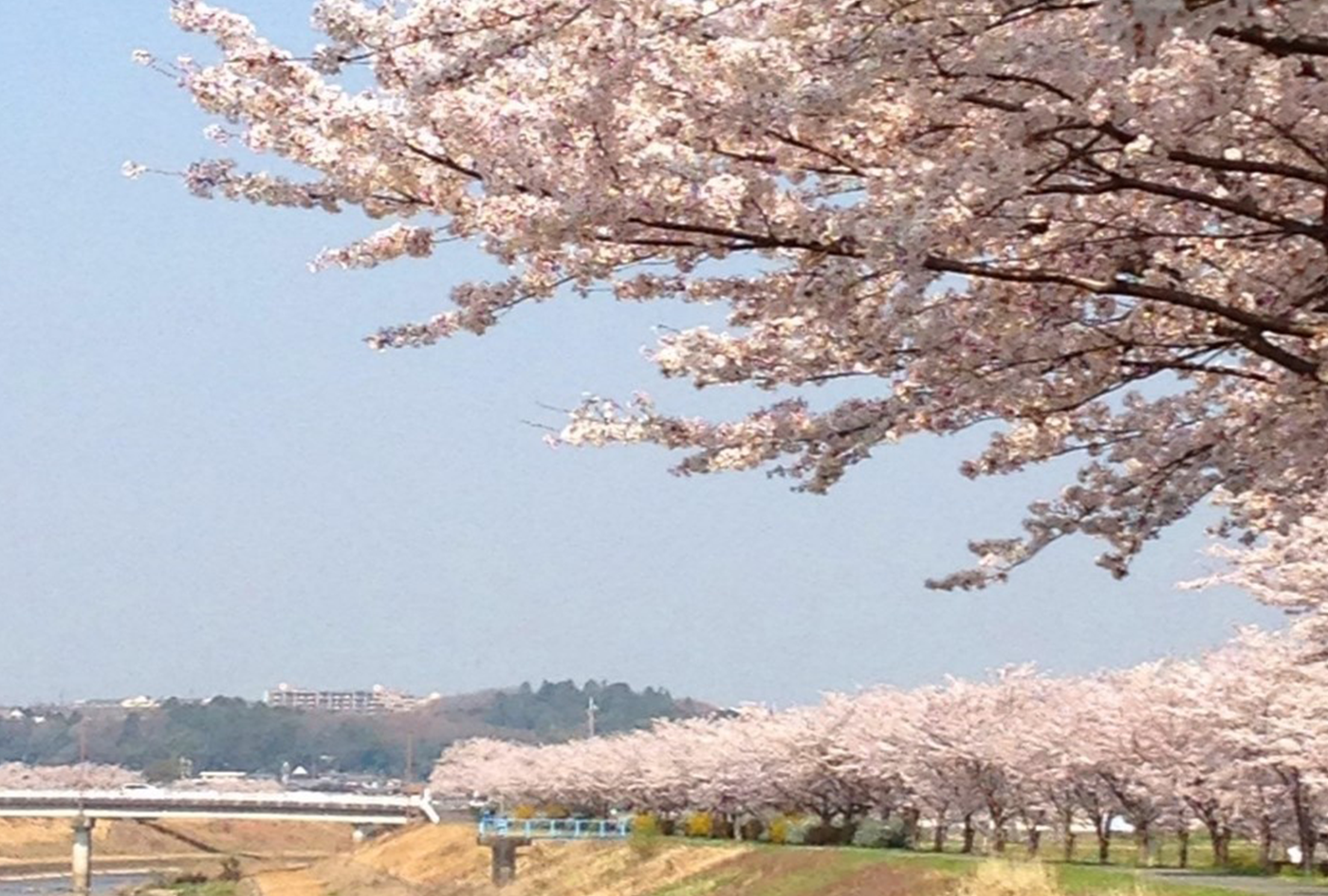 兵庫県三田市地域活性化プロジェクト