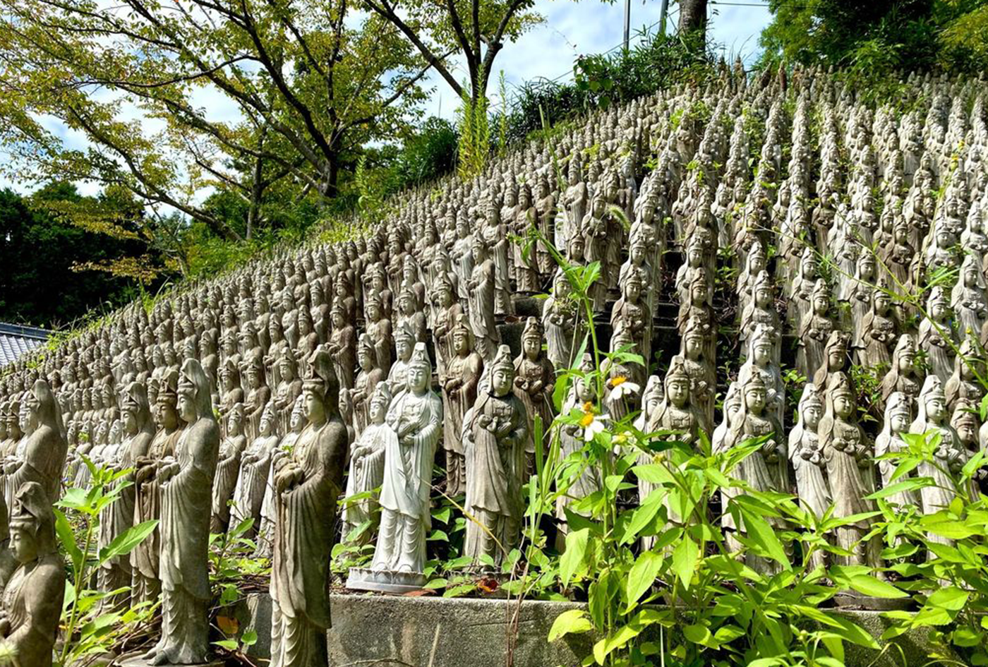 兵庫県三田市地域活性化プロジェクト