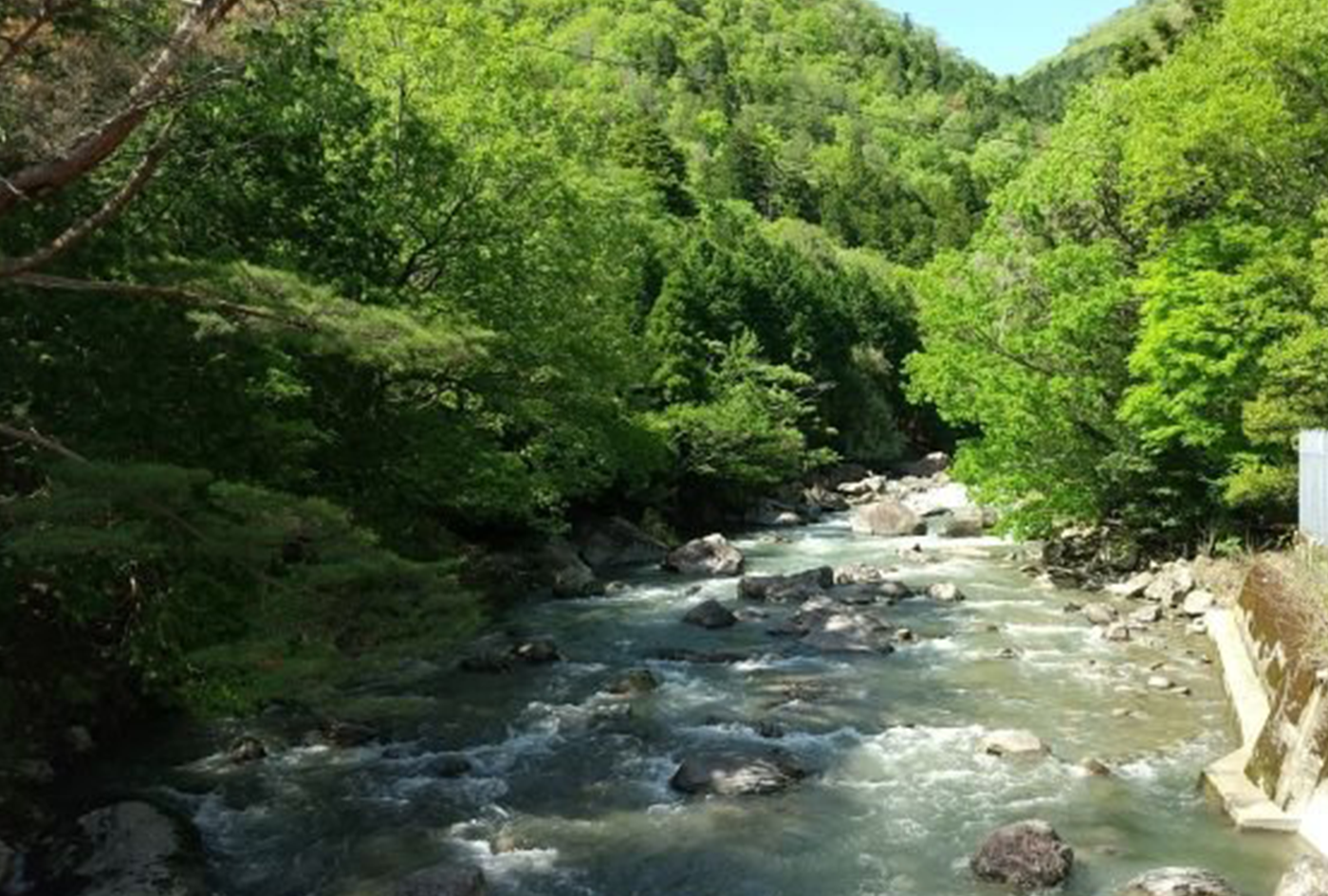 兵庫県三田市地域活性化プロジェクト